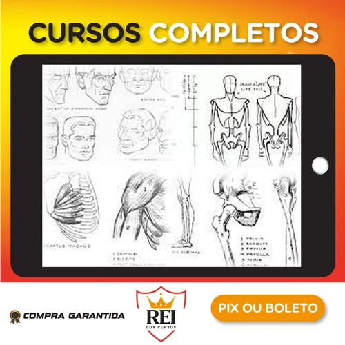 Livros de Desenho - Andrew Loomis