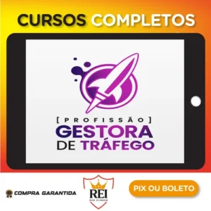 Profissão Gestora de Tráfego - Ana Neves