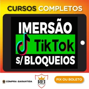 Imersão TikTok Sem Block - Filipe Santana e Dairo Jr