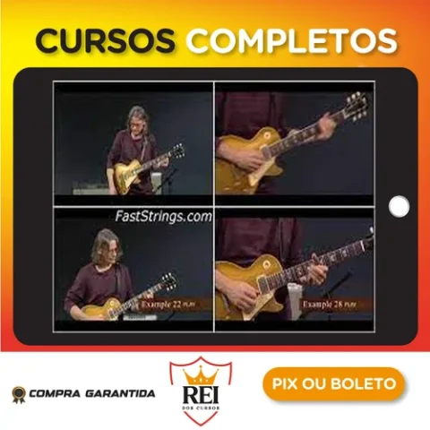 Robben Ford - Art Of Blues Rhythm [INGLÊS]