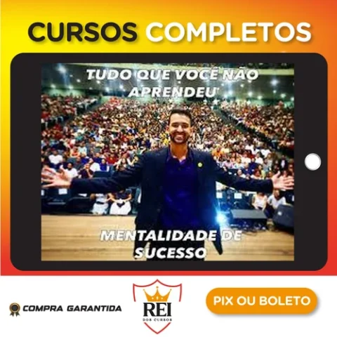 Tudo Que Você Não Aprendeu: Mentalidade de Sucesso - Luis Felipe