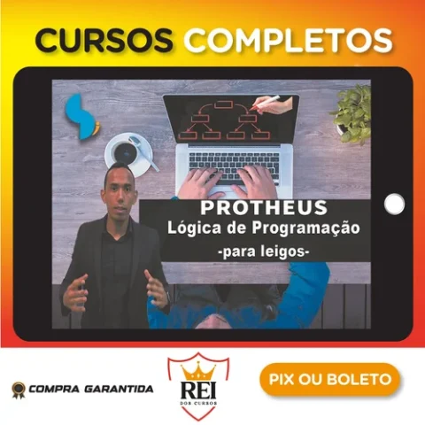 Protheus Lógica de Programação - Sistematizei